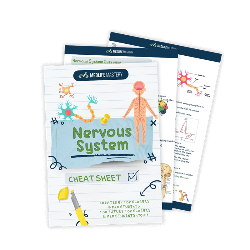 Nervous-System