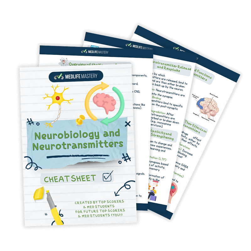 Neurobiology-and-Neurotransmitters