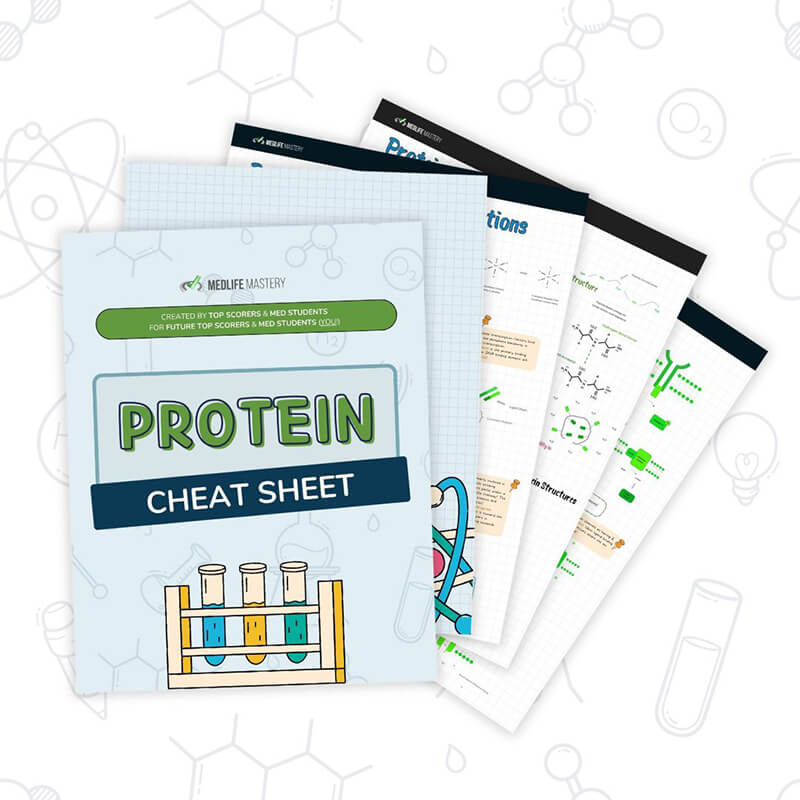 Protein-Cheat-Sheet