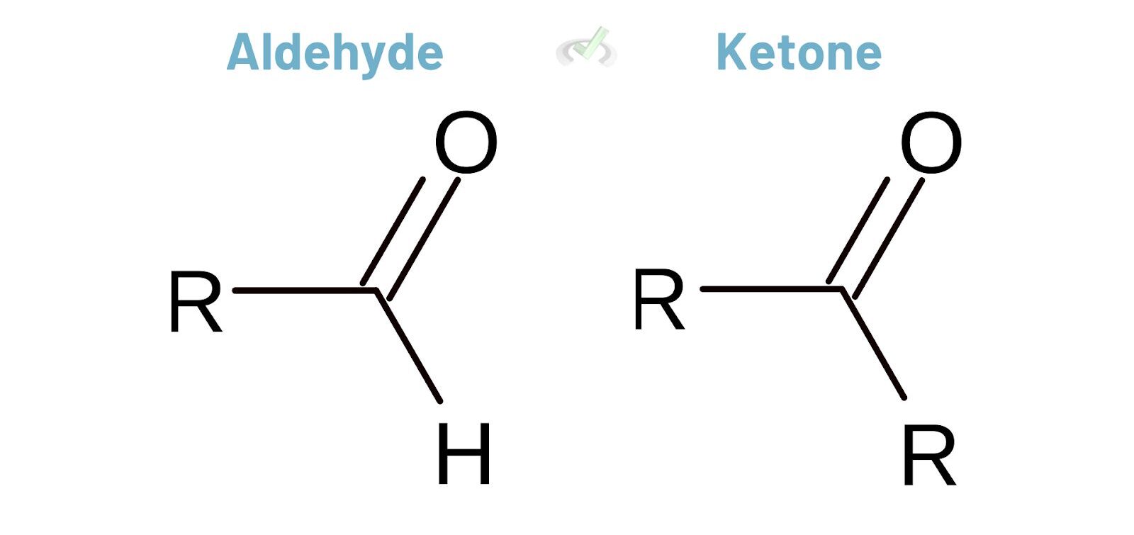 Aldehydes And Ketones E1737557607674