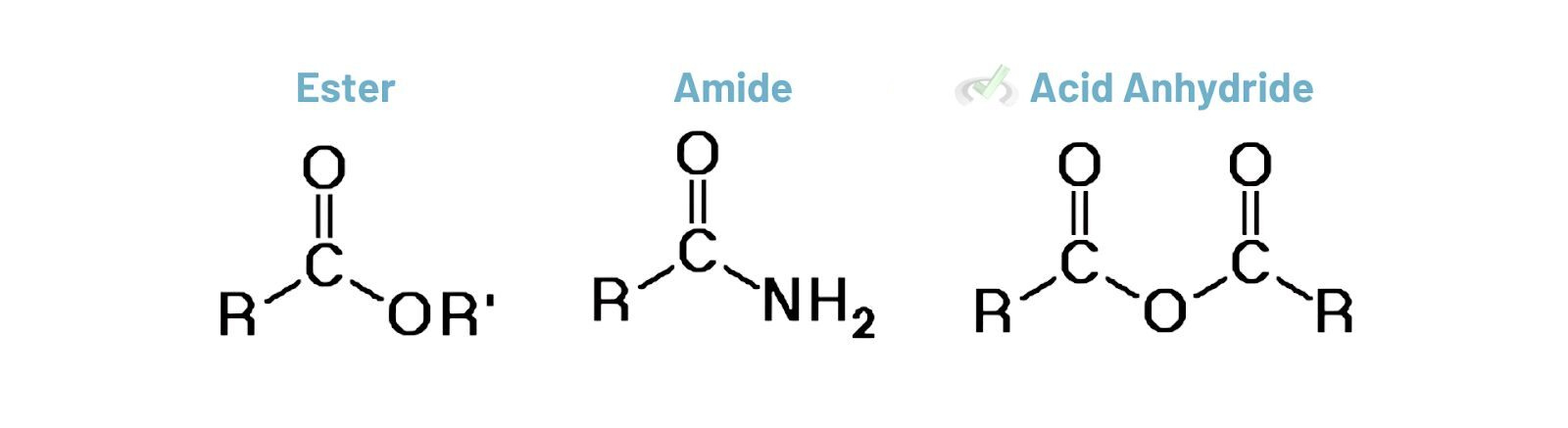 Esters, Amides, and Anhydrides Esters Amides and Anhydrides e1737557806818 corrected