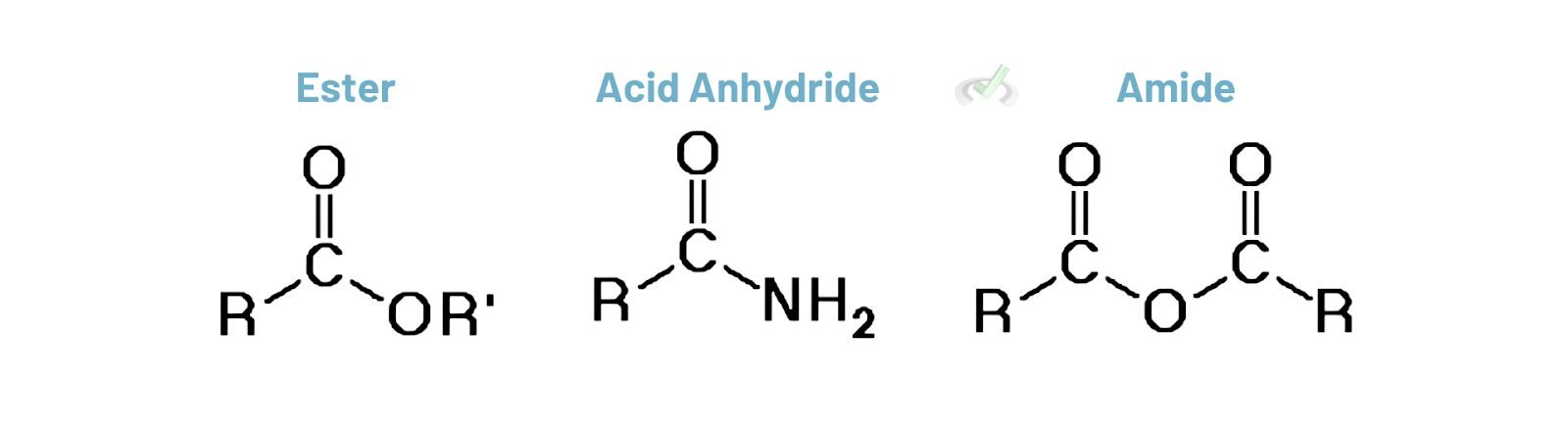 Esters Amides And Anhydrides E1737557806818