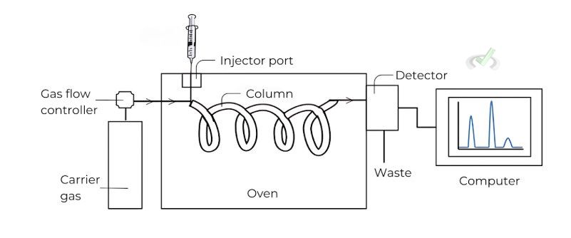 Gas Chromatography (Gc)