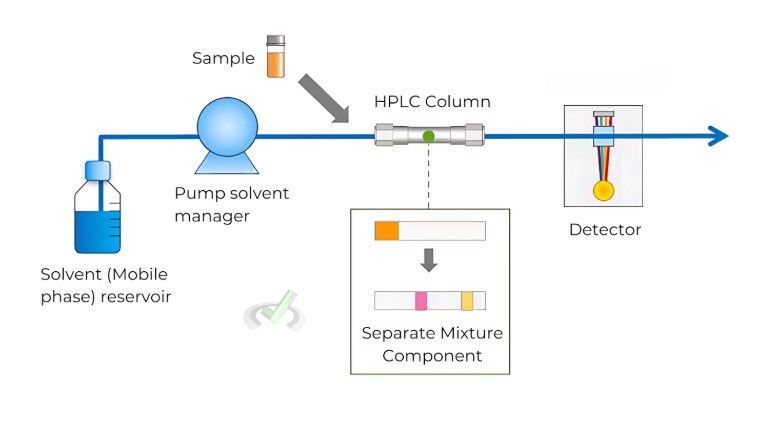 High-Performance Liquid Chromatography (Hplc)