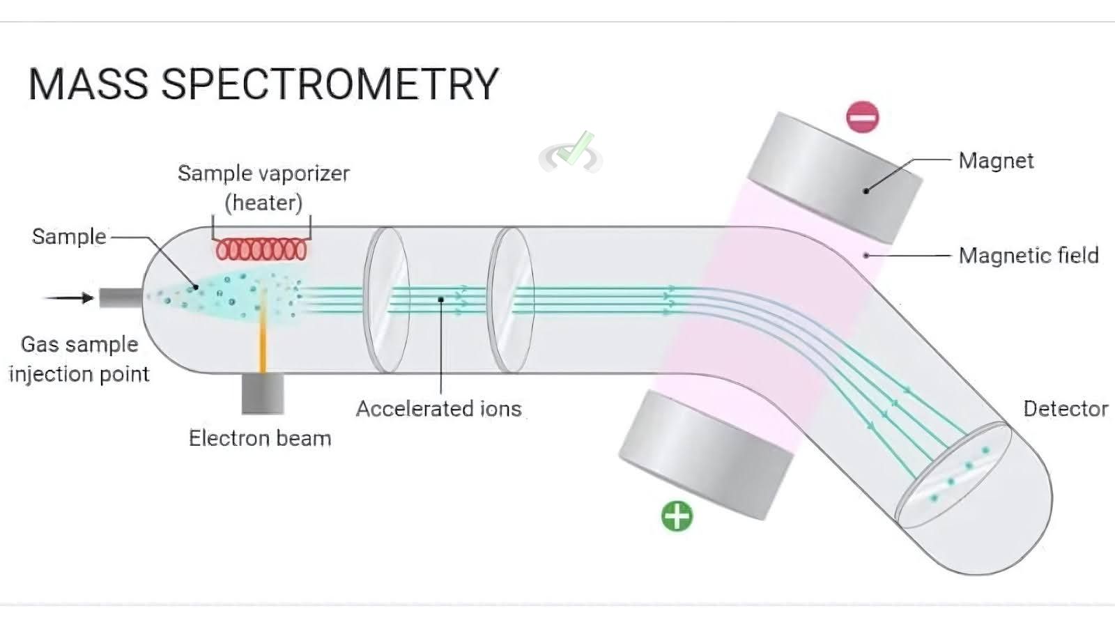 Mass Spectrometry