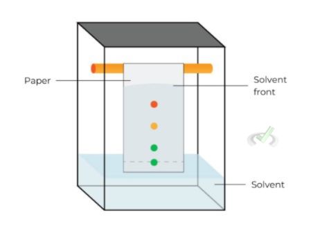 Paper Chromatography