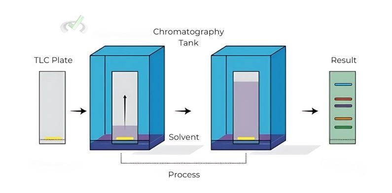 Thin-Layer Chromatography (Tlc)