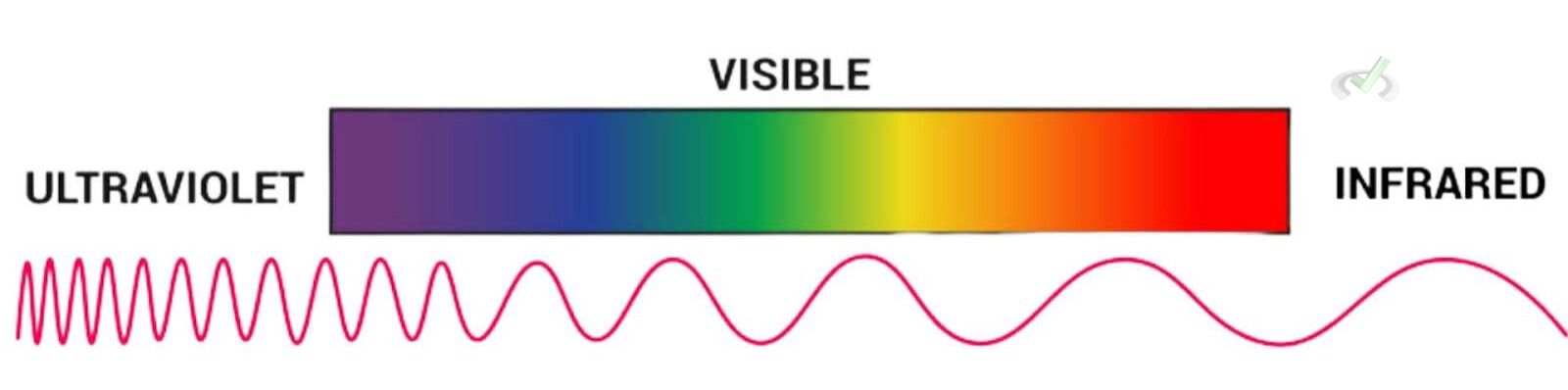 Ultraviolet Visible Uv Vis