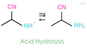 Acid Hydrolysis