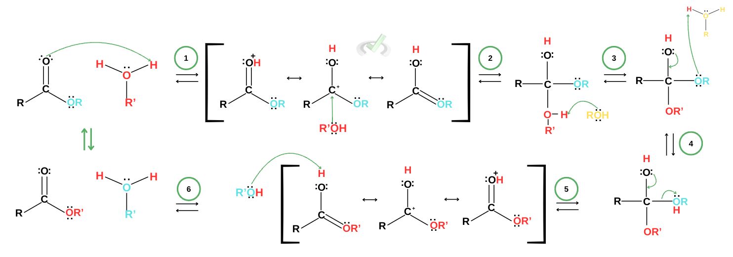 Acidic Conditions