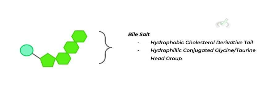 Bile Salts