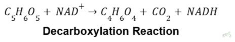 Decarboxylation Reaction Decarboxylation Reaction