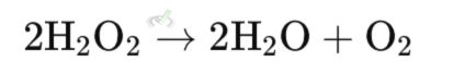 Disproportionation Reactions