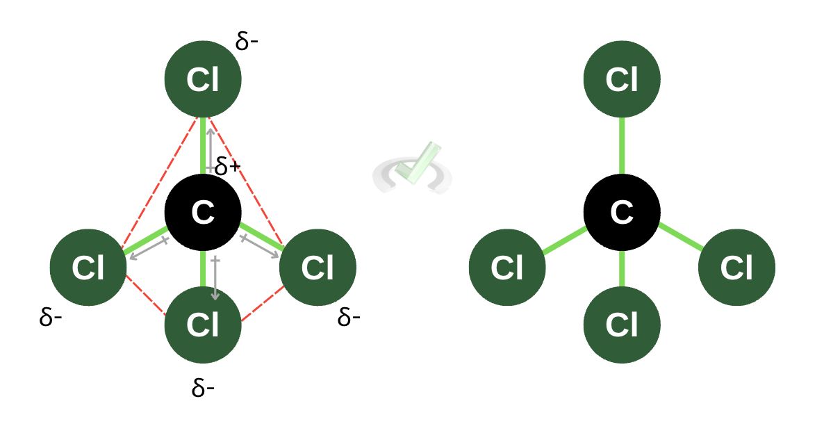 Nonpolar Molecules B