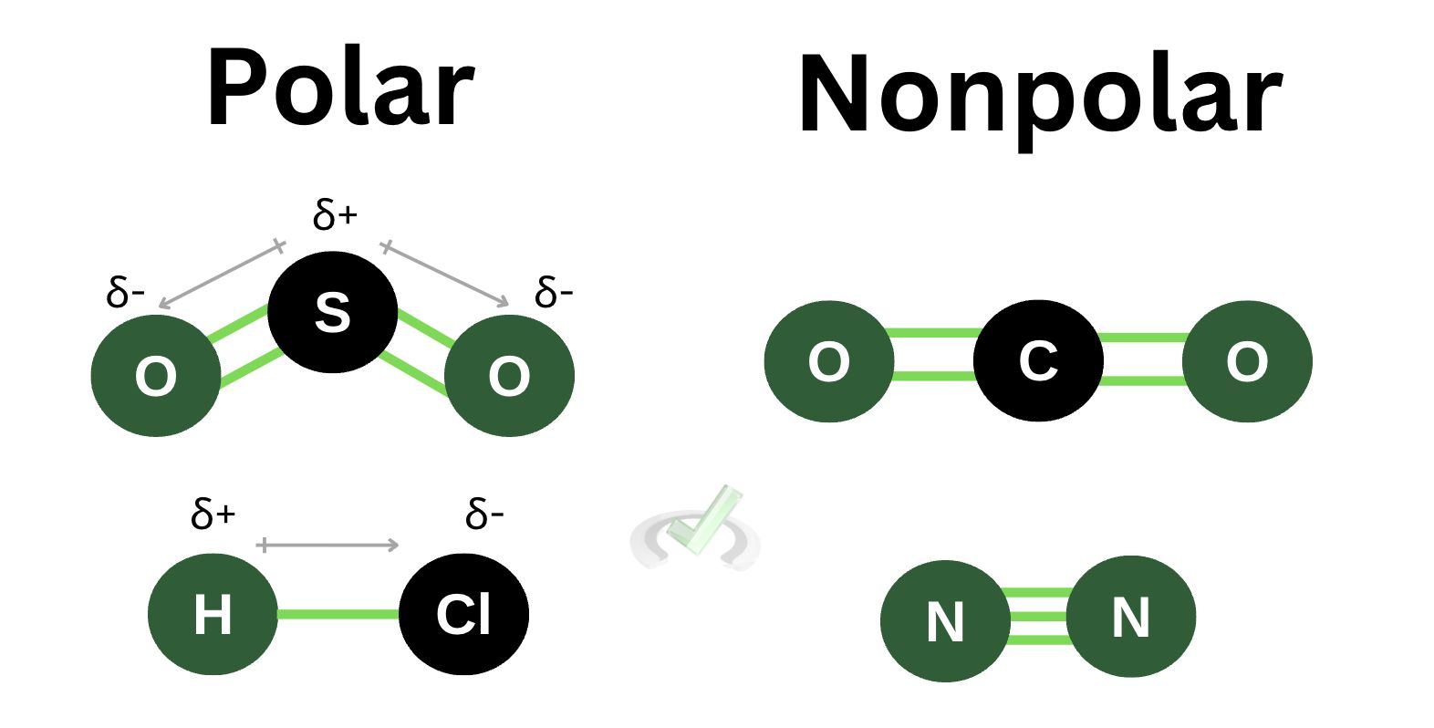 Polar And Nonpolar