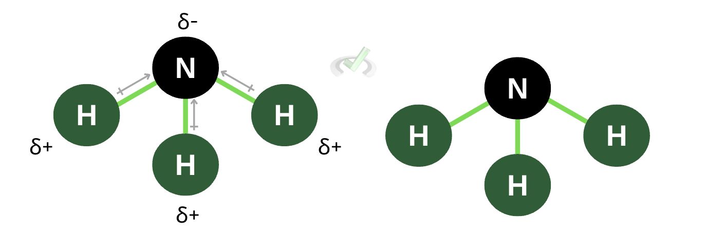 Polarity Influences Chemical Structure