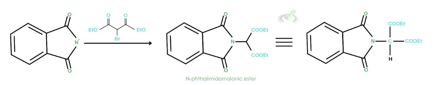 Synthesis of Amino Acids - MCAT Content – MedLife Mastery