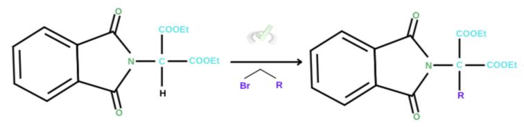 Sn2 Reaction With Alkyl Halide 2