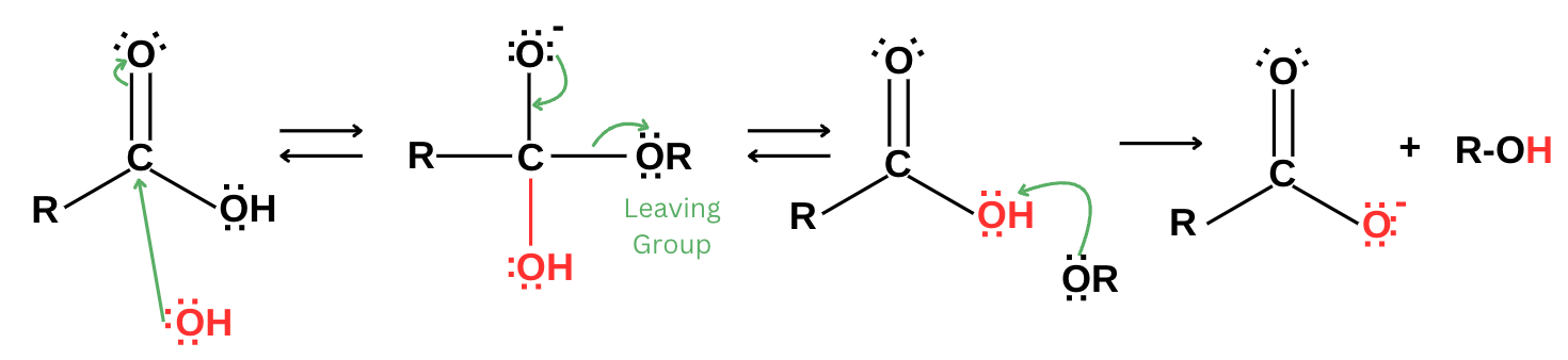 Saponification