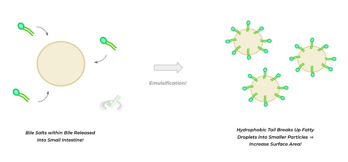 Emulsification