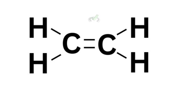 Double Bond