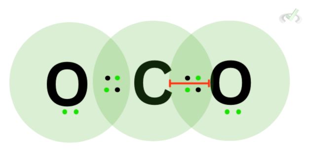 Double Bond