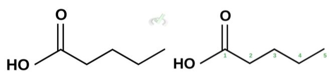 Pentanoic Acid