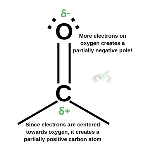 Polarity