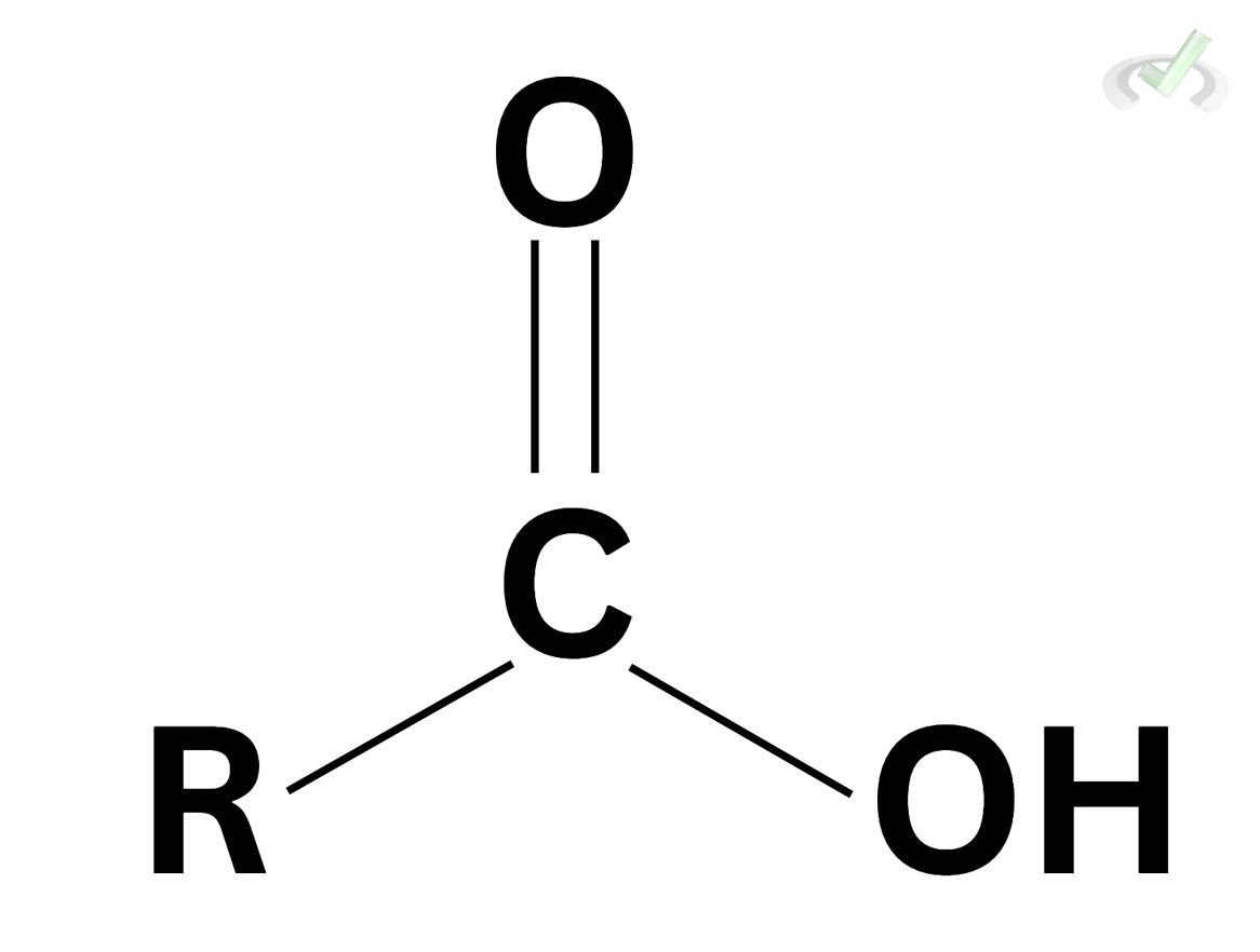 Structure Of Carboxylic Acids