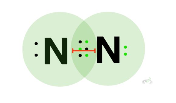 Triple Bond