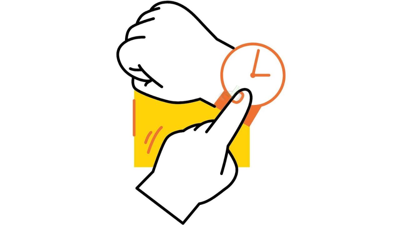 How Many Questions Are on the NCLEX-PN Practical Nurse Exam 3 How Many Questions Are On The Nclex Pn Practical Nurse Exam 3