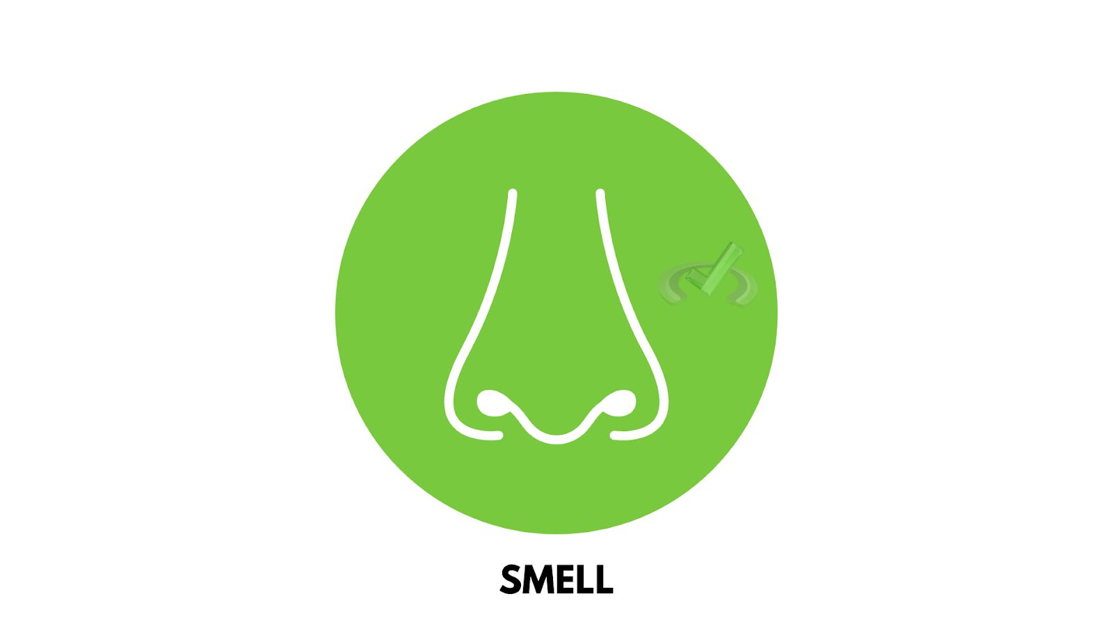 Smell