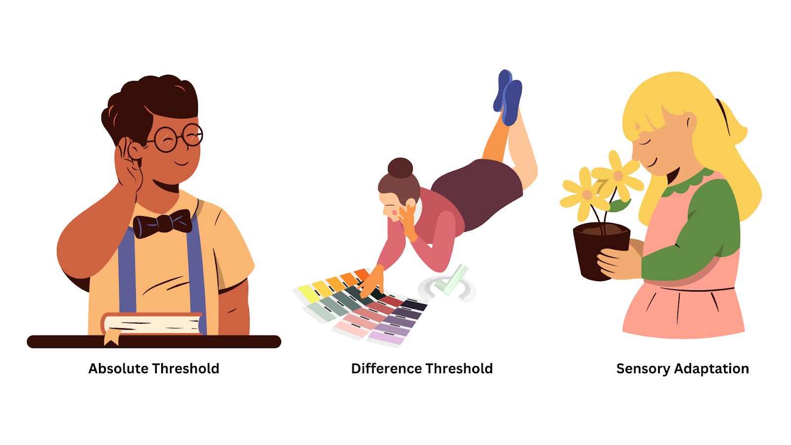 Thresholds And Sensory Adaptation