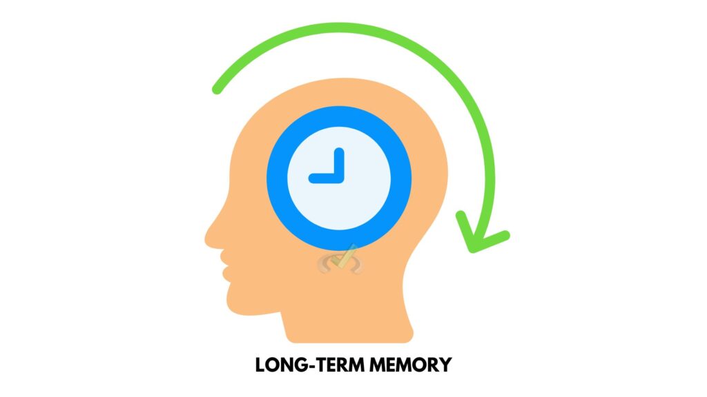 Processes for Memory Formation and Loss - MCAT Content – MedLife Mastery