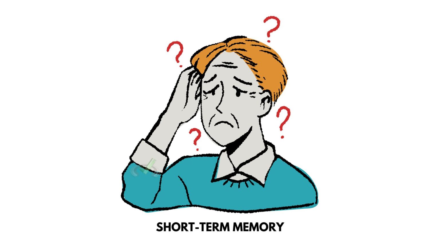 Processes for Memory Formation and Loss - MCAT Content – MedLife Mastery