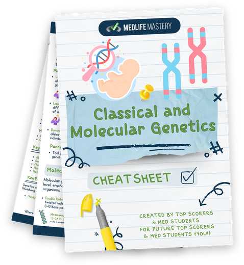 <strong>Mendelian Genetics: Mendel’s Laws on the MCAT</strong> 3 MCAT Genetics Cheat Sheet