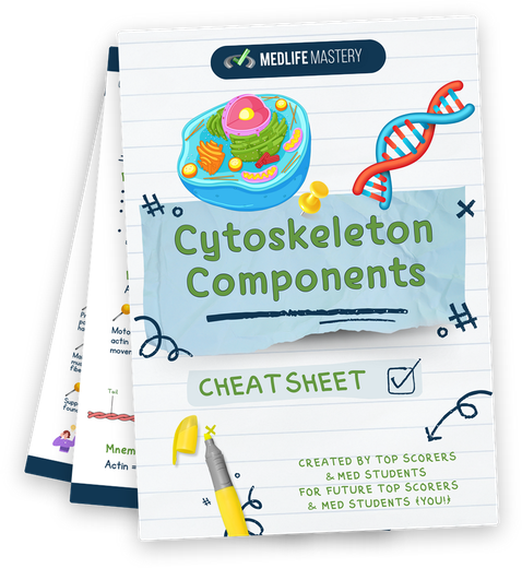 MCAT Cytoskeleton Cheat Sheet