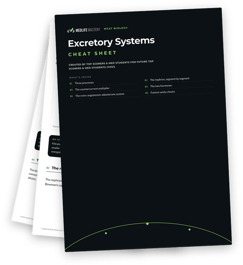 MCAT Excretory Systems Cheat Sheet