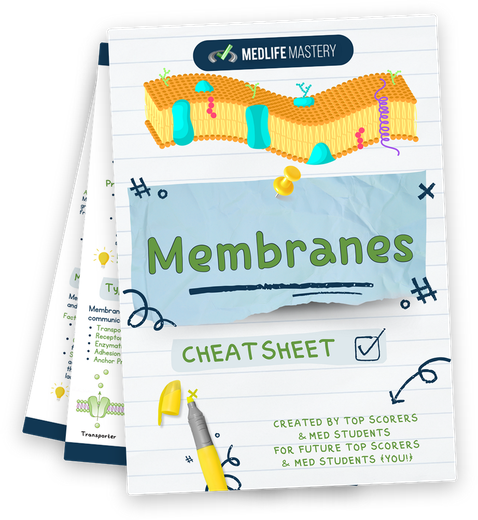 <strong>Biological Membranes: Composition and Structure on the MCAT</strong> 1 MCAT Membranes Cheat Sheet