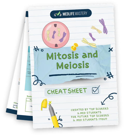MCAT Mitosis and Meiosis Cheat Sheet