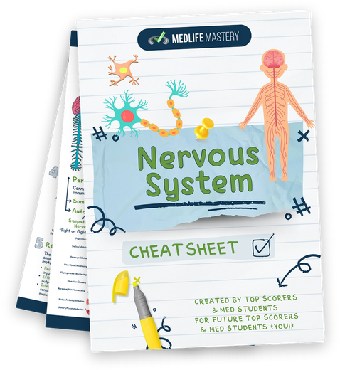 MCAT Nervous System Cheat Sheet