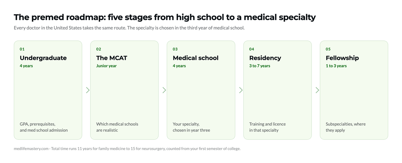 Premed Roadmap: 5 Stages to Your Medical Specialty 2 Premed roadmap showing five stages from undergraduate study to fellowship