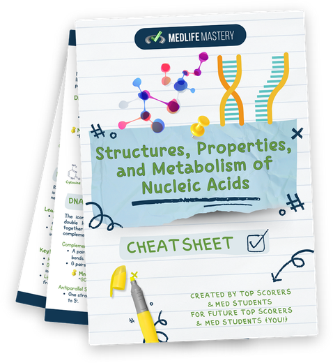 MCAT Nucleic Acids Cheat Sheet