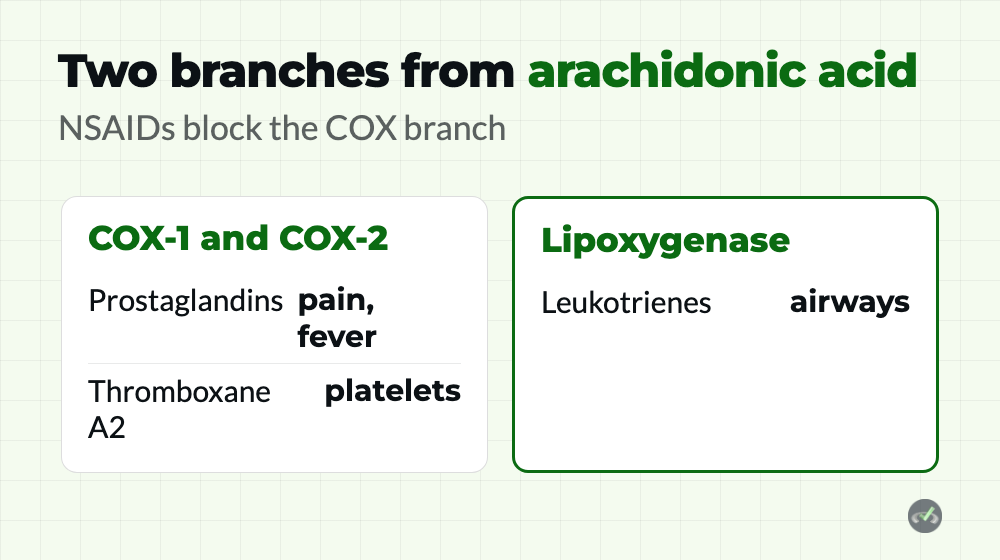 Types of Lipids on the MCAT: Description and Classification 4 arachidonic acid split by COX into prostaglandins and thromboxane and by lipoxygenase into leukotrienes